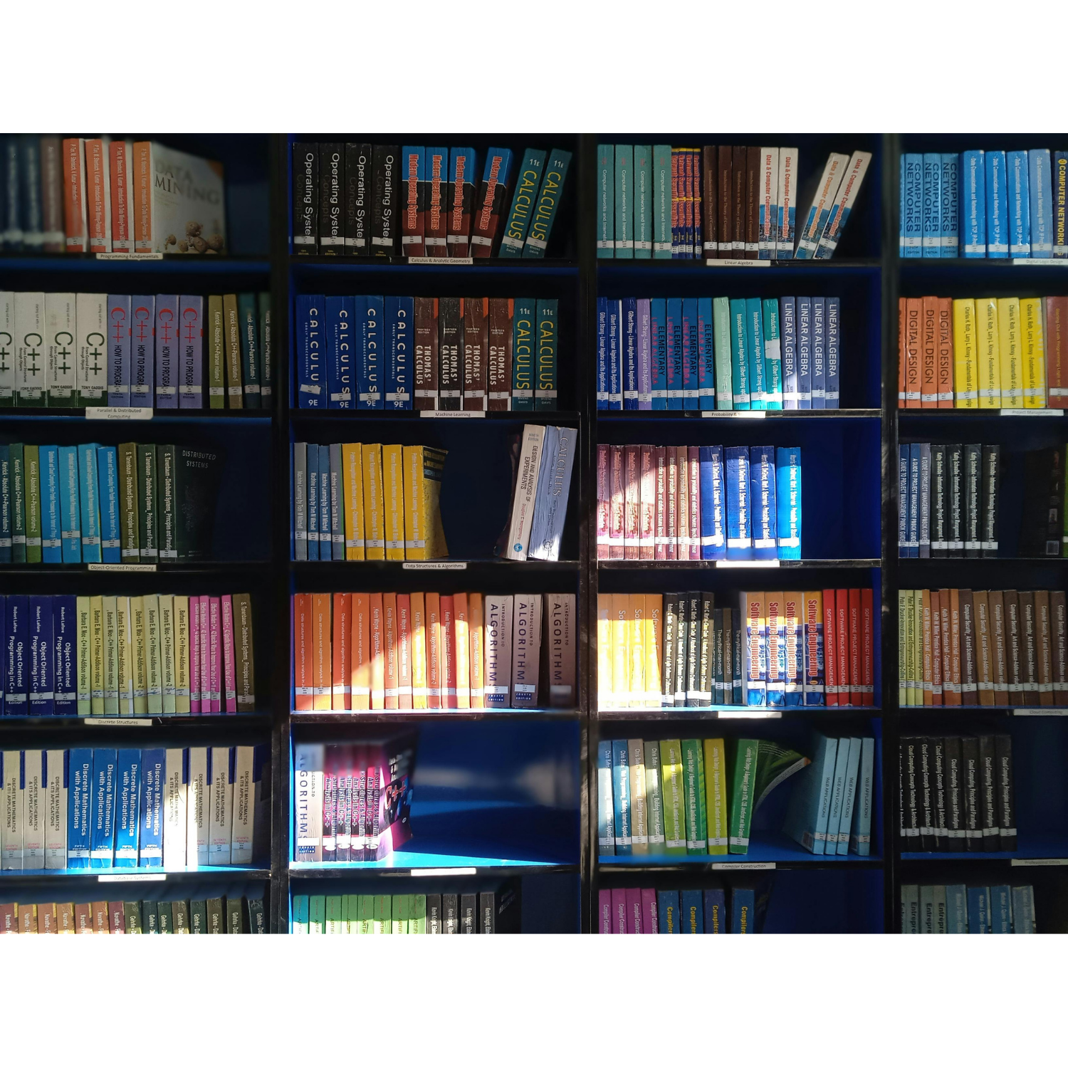 Large 30a1cf69 dffc 42bb 985a a08a04f2dbc6